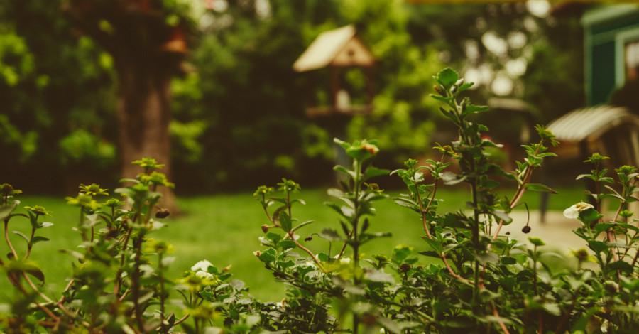Premeňte vašu záhradu na oázu relaxu: Takto sa vám to podarí!
