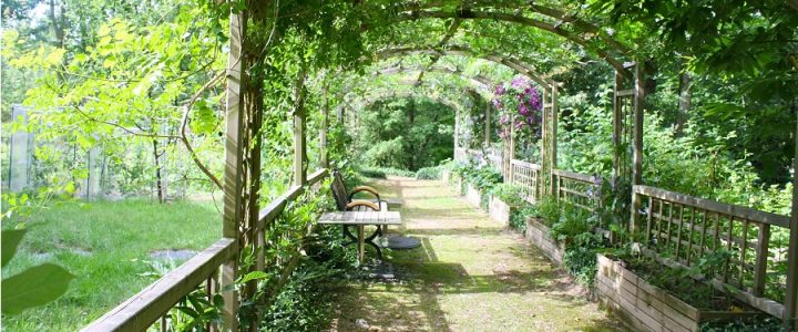 Zariaďovanie záhrady – ako na to a oplatí sa najať si záhradného architekta?